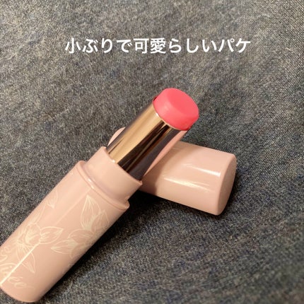 リップ スクラブ & バーム/Visée/リップバームを使ったクチコミ(2枚目)