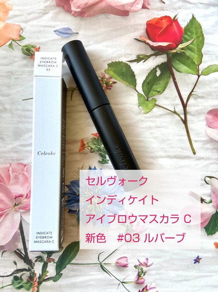 セルヴォーク インディケイトアイブロウマスカラ C 〈C〉 03/Celvoke/眉マスカラを使ったクチコミ(1枚目)