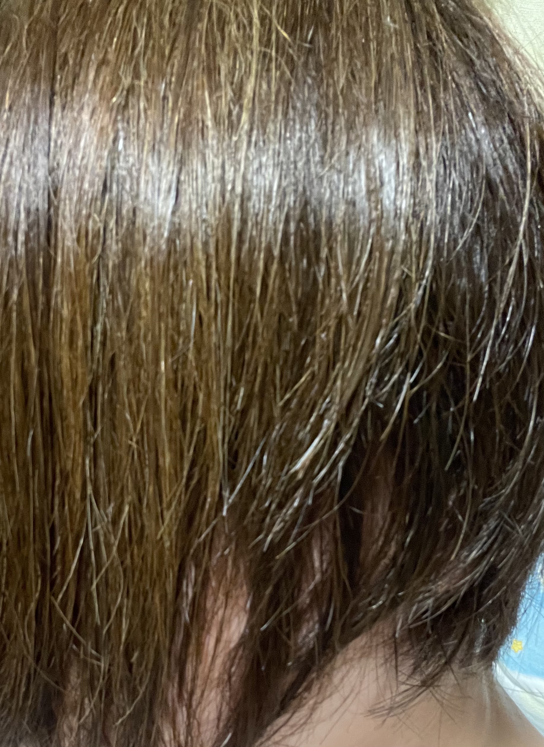 リアス ディープ モイスチャー シカ ヘアオイル/riasu/ヘアミルクを使ったクチコミ（2枚目）