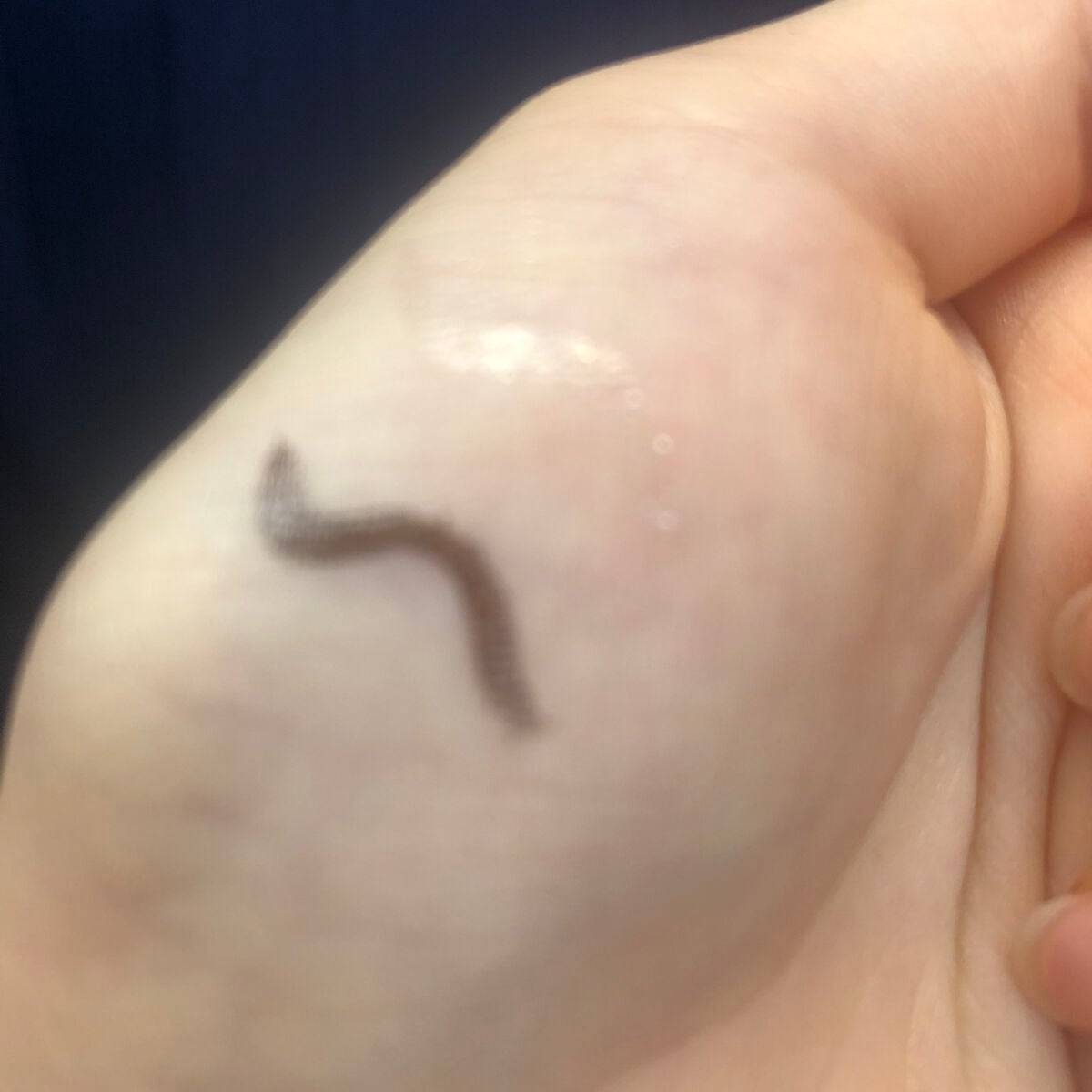 トゥインクルペンライナー/rom&nd/リキッドアイライナーを使ったクチコミ(3枚目)