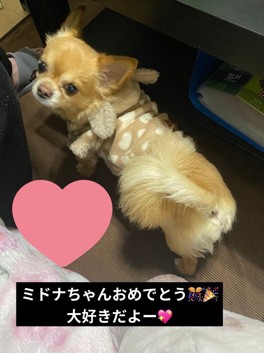 カラフルネイルズ/キャンメイク/マニキュアを使ったクチコミ(8枚目)