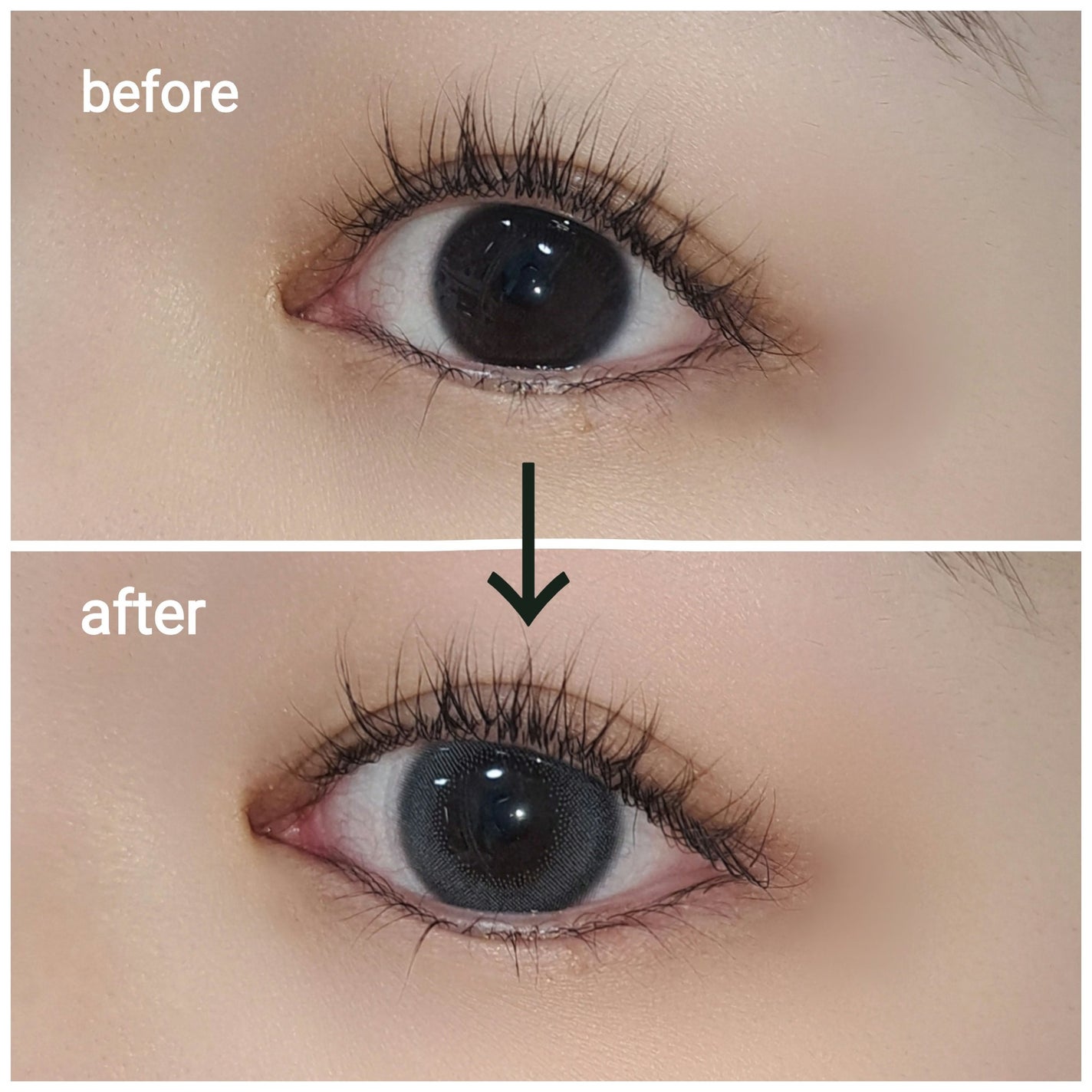 ReVIA 1day/ReVIA/ワンデー(1DAY)カラコンを使ったクチコミ(2枚目)