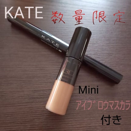 ラスティングデザインアイブロウW N(FL)/KATE/パウダーアイブロウを使ったクチコミ(1枚目)