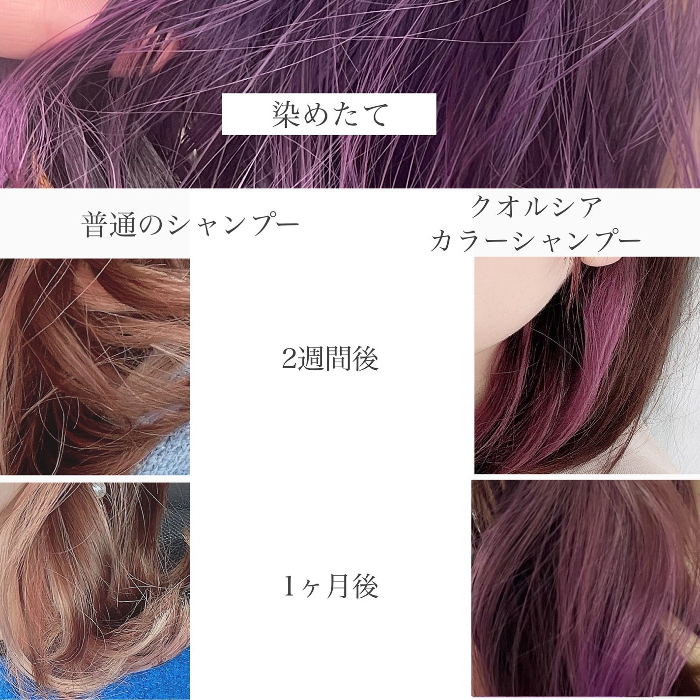 クオルシア カラーシャンプー/クオルシア/市販シャンプーを使ったクチコミ(3枚目)