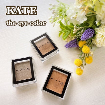 ケイト ザ アイカラー 027 アプリコットブラウン/KATE/単色アイシャドウを使ったクチコミ(2枚目)