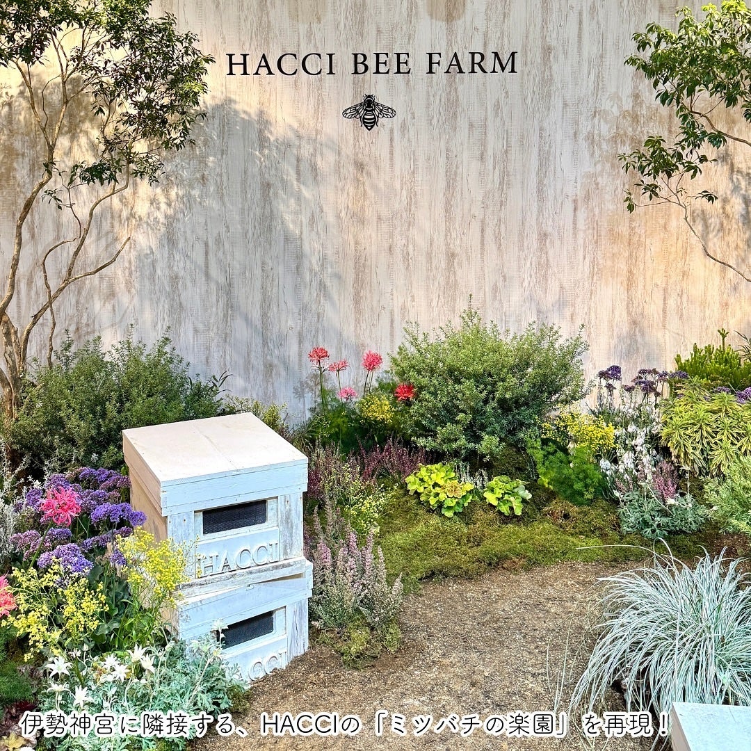 ブライトC セラム UV/HACCI/日焼け止めミルクを使ったクチコミ(4枚目)