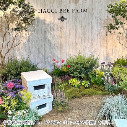 ブライトC セラム UV/HACCI/日焼け止めミルクを使ったクチコミ(4枚目)