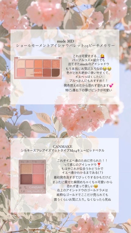 シルキースフレアイズ(マットタイプ)/キャンメイク/アイシャドウパレットを使ったクチコミ(2枚目)