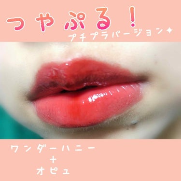 ワンダーハニー 彩り果実のリップネクター 赤蜜りんご/VECUA Honey/リップグロスを使ったクチコミ（1枚目）