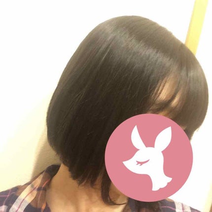 を使ったクチコミ(1枚目)