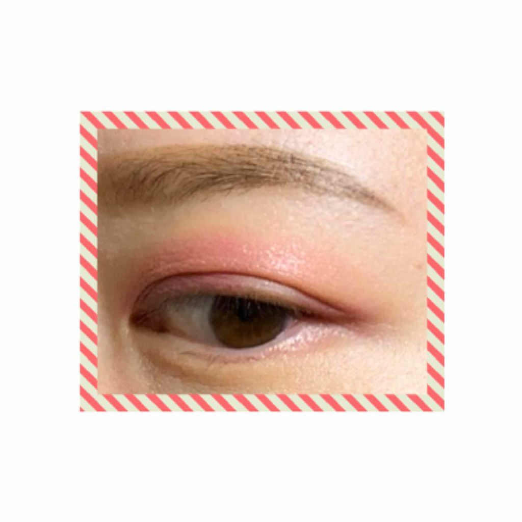 エクスプローラ12色 動物アイシャドウパレット/PERFECT DIARY/アイシャドウパレットを使ったクチコミ(3枚目)