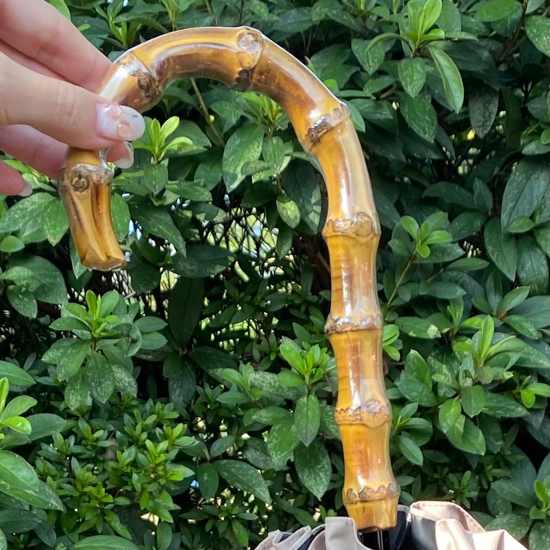 サンバリア100/サンバリア100/日傘を使ったクチコミ(5枚目)