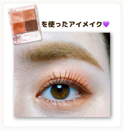 シルキースフレアイズ/キャンメイク/アイシャドウパレットを使ったクチコミ(1枚目)