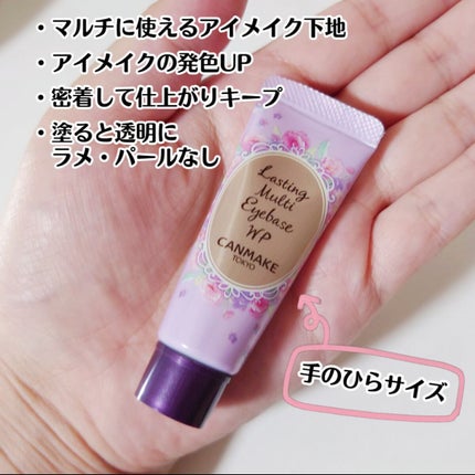 ラスティングマルチアイベース WP/キャンメイク/アイシャドウベースを使ったクチコミ(2枚目)
