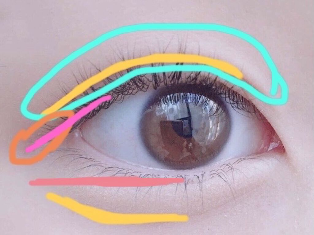 ウルトラファイバーマスカラ/D-UP/マスカラを使ったクチコミ（2枚目）