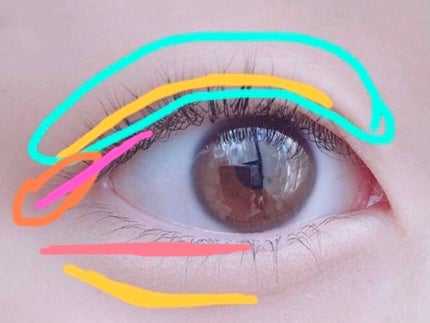 クイックラッシュカーラー/キャンメイク/マスカラ下地を使ったクチコミ(2枚目)