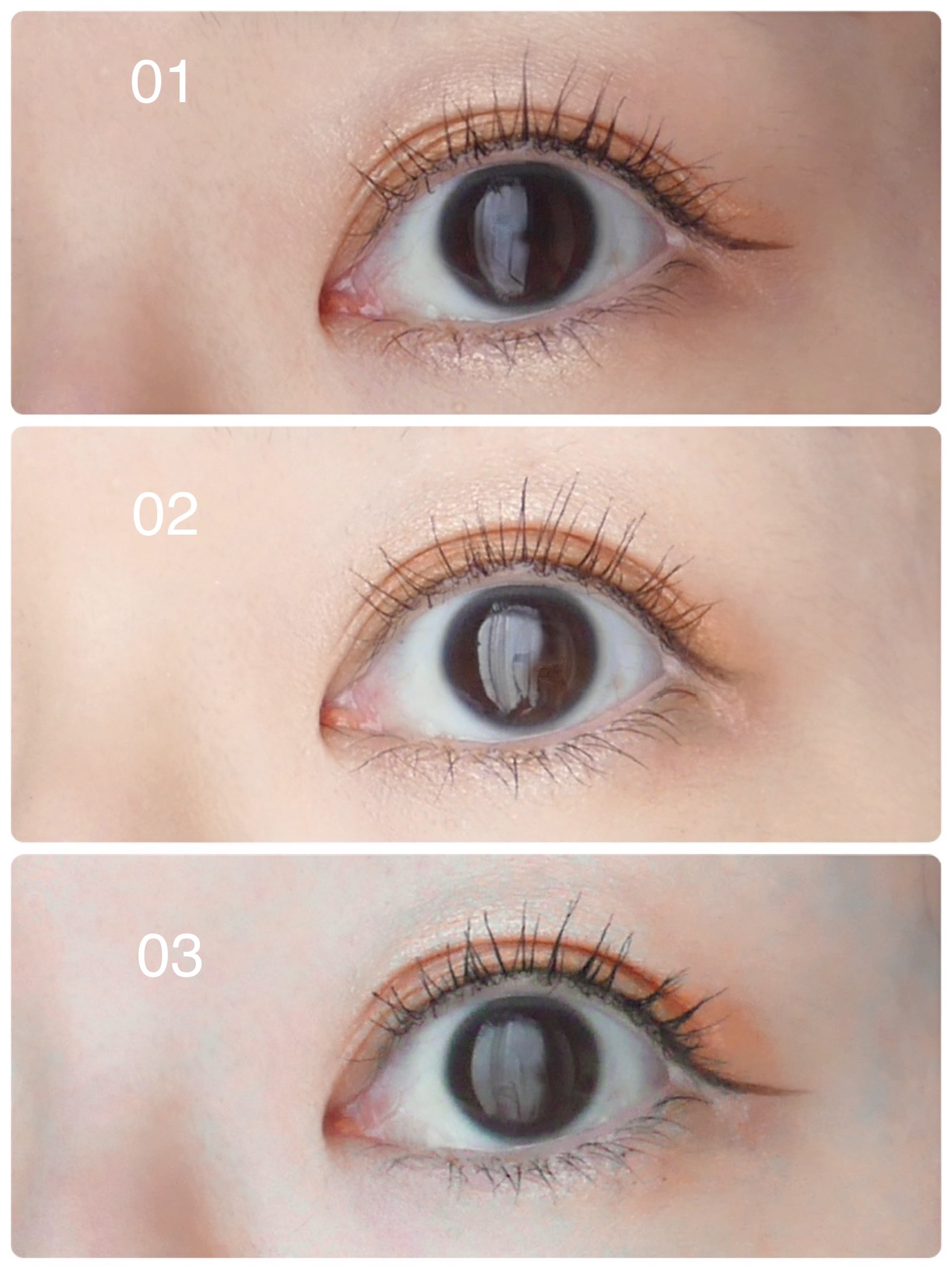 ミゼルエディ カールアップマスカラ/ミゼルエディ/マスカラを使ったクチコミ（1枚目）