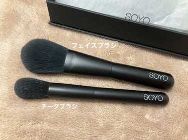 高質で安価 使いやすい！人気！SOYOブラシ 小田切 ヒロさん 7本セット