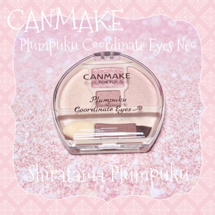 プランぷくコーデアイズNeo/キャンメイク/アイシャドウを使ったクチコミ(1枚目)