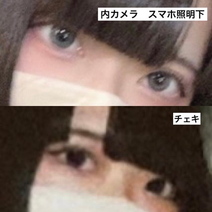 Angelcolor Bambi Series 1day /AngelColor/ワンデー(1DAY)カラコンを使ったクチコミ(4枚目)