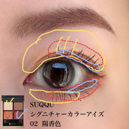 シグニチャー カラー アイズ/SUQQU/アイシャドウパレットを使ったクチコミ(2枚目)