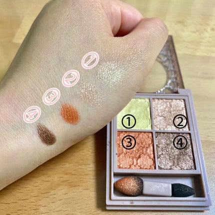 グロッシーリッチ アイズ N/Visée/アイシャドウパレットを使ったクチコミ(2枚目)