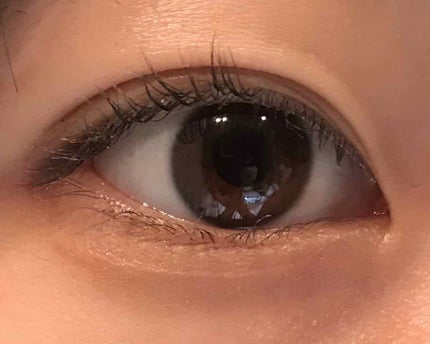 フェース コントロール カラー/CEZANNE/プレストパウダーを使ったクチコミ(3枚目)