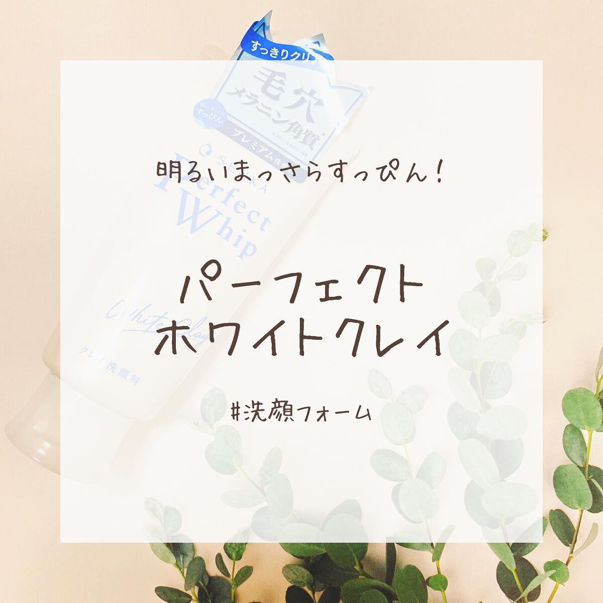 パーフェクトホワイトクレイ/SENKA(専科)/洗顔フォームを使ったクチコミ(1枚目)