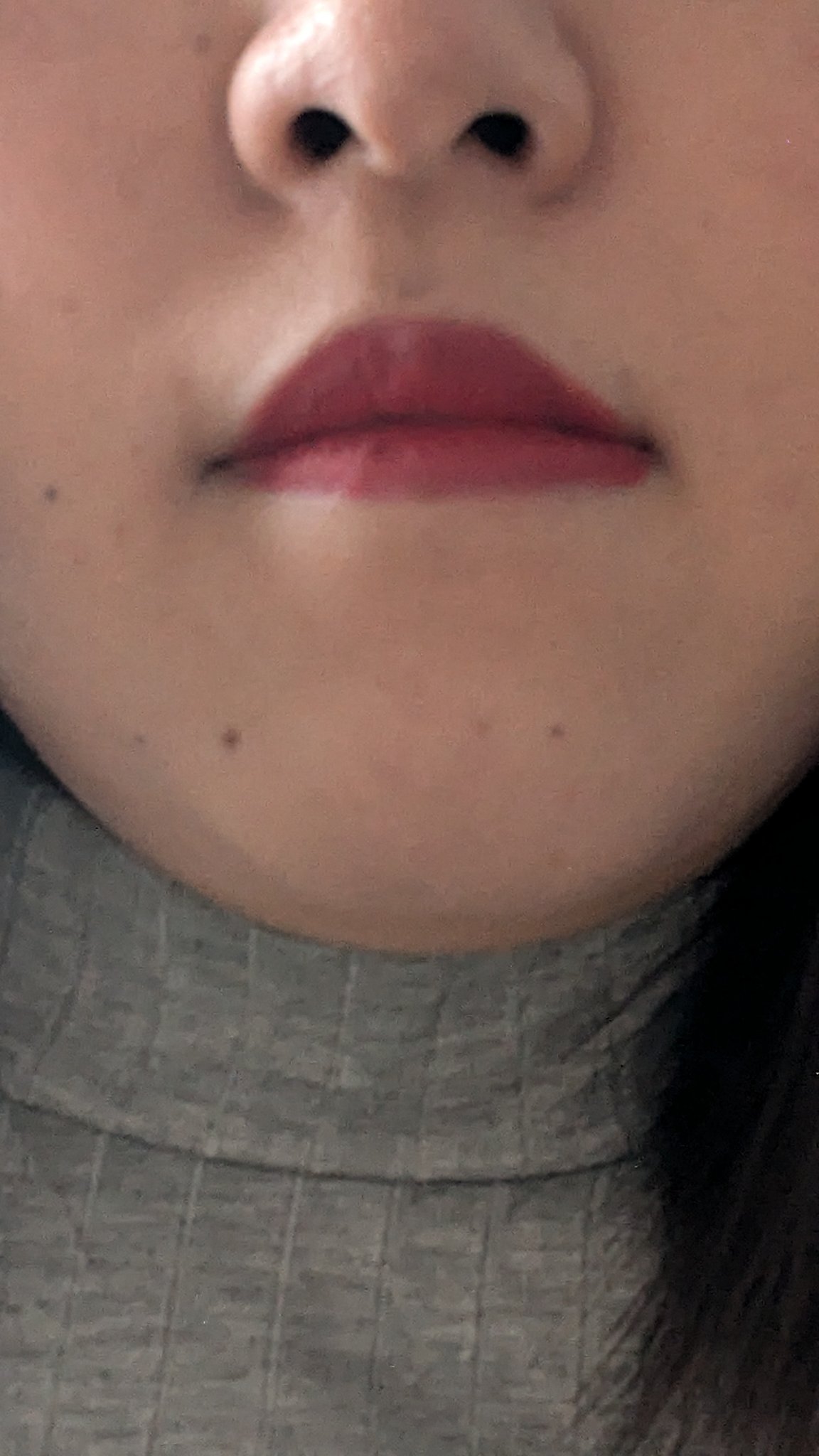 SHEGLAM ロングラスティング マットリップスティックのクチコミ「SHEGLAMのロングラスティング マットリップスティック
カラーはA BOLD PLAMでご.....」（3枚目）