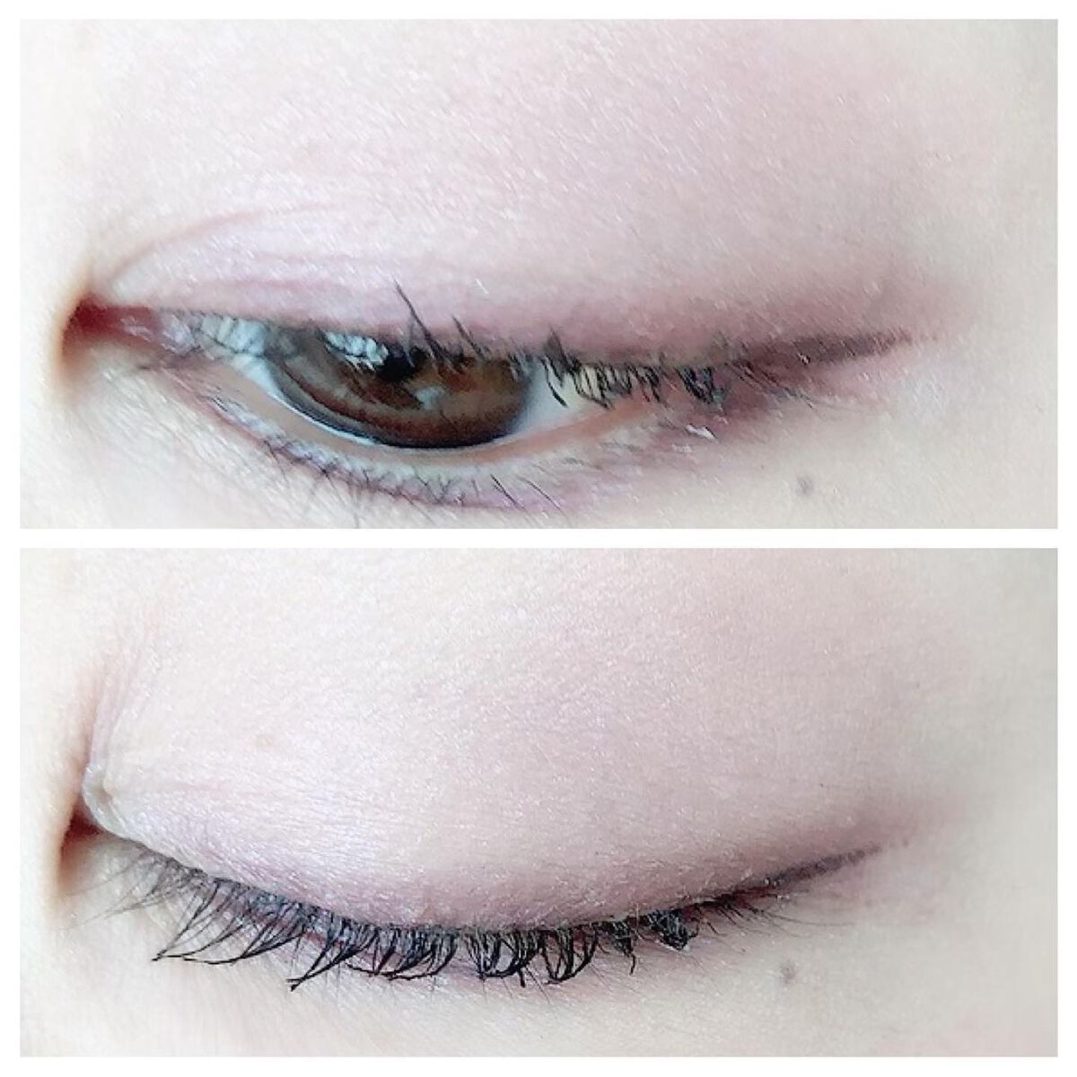 パールプレシャスオーラ アイカラーパレット/ミキモト コスメティックス/アイシャドウパレットを使ったクチコミ（3枚目）