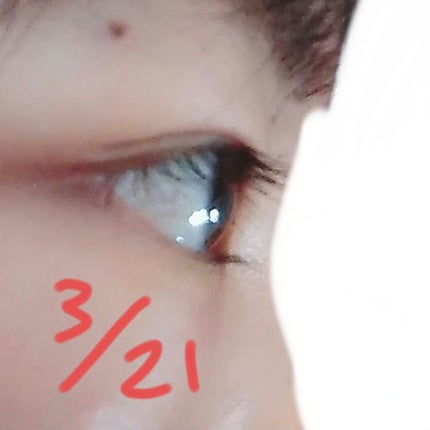 まつげ美容液EX/CEZANNE/まつげ美容液を使ったクチコミ(5枚目)