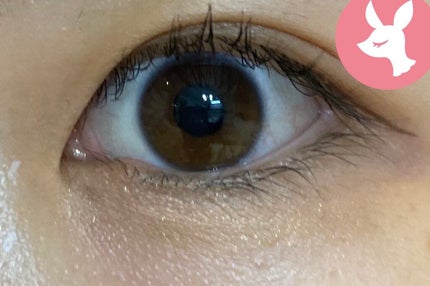 シャドウパレット/dasique/アイシャドウパレットを使ったクチコミ(3枚目)