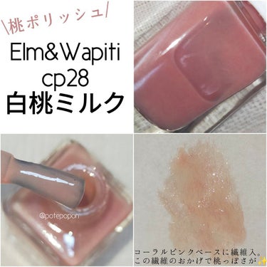 フラッフィーネイル/elm&wapiti/マニキュアを使ったクチコミ（2枚目）