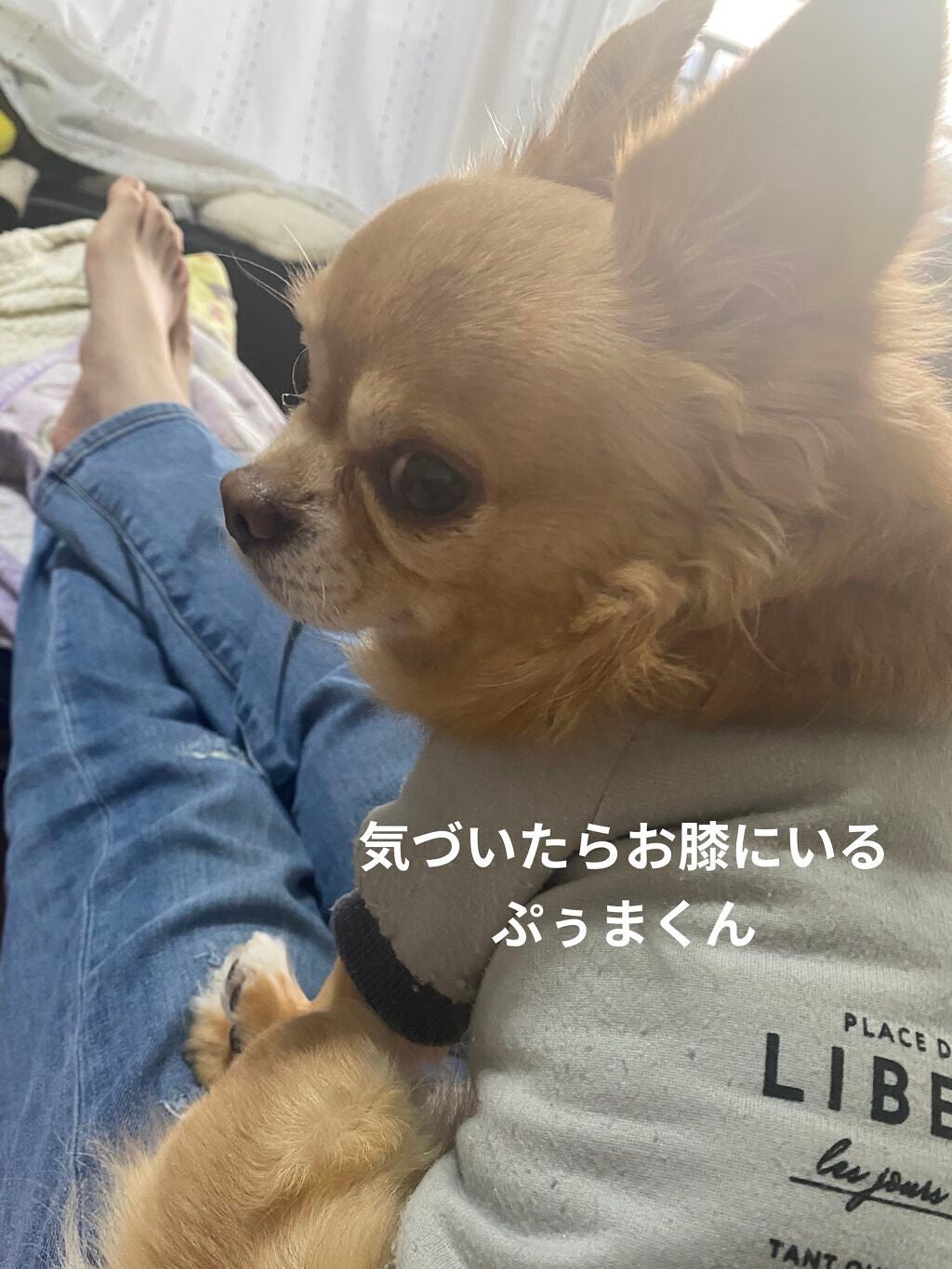 クナイプ スパークリングタブレット ラベンダーの香り/クナイプ/入浴剤を使ったクチコミ(7枚目)