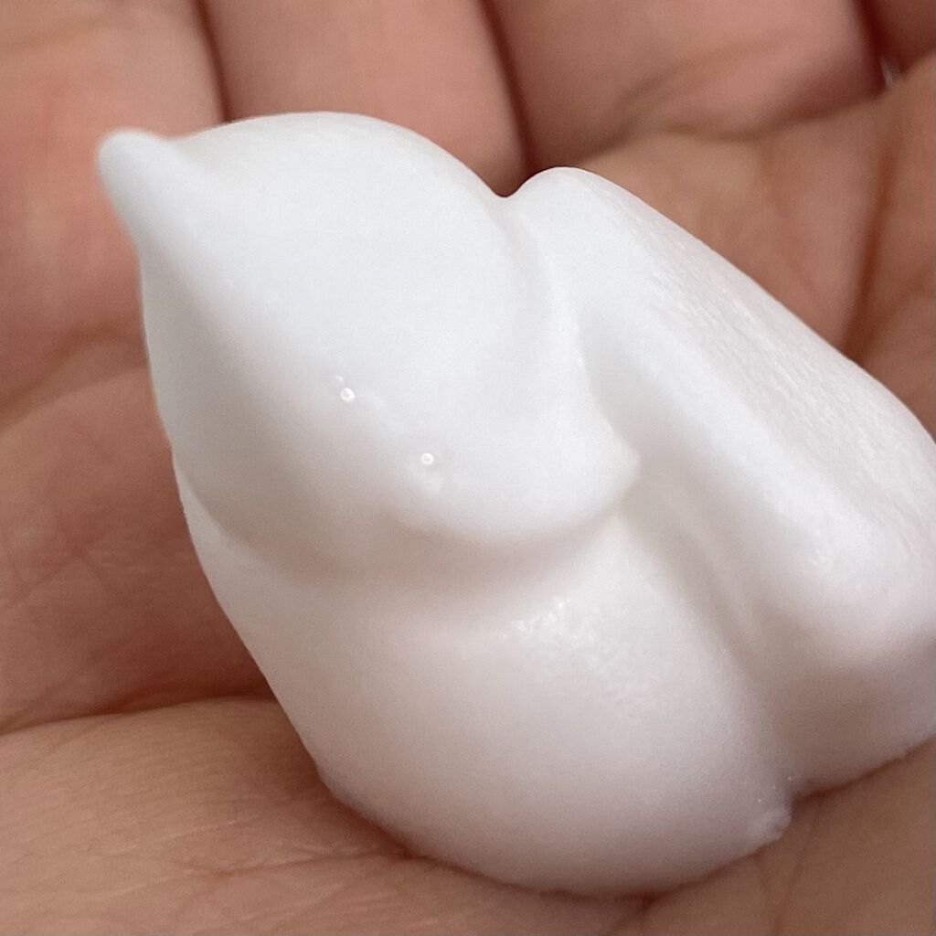 レーヌブランシュ イルミネイティングクレンジングフォーム/L'OCCITANE/泡洗顔を使ったクチコミ（3枚目）