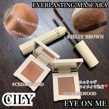 シルキーリップ/CILY/口紅を使ったクチコミ(2枚目)