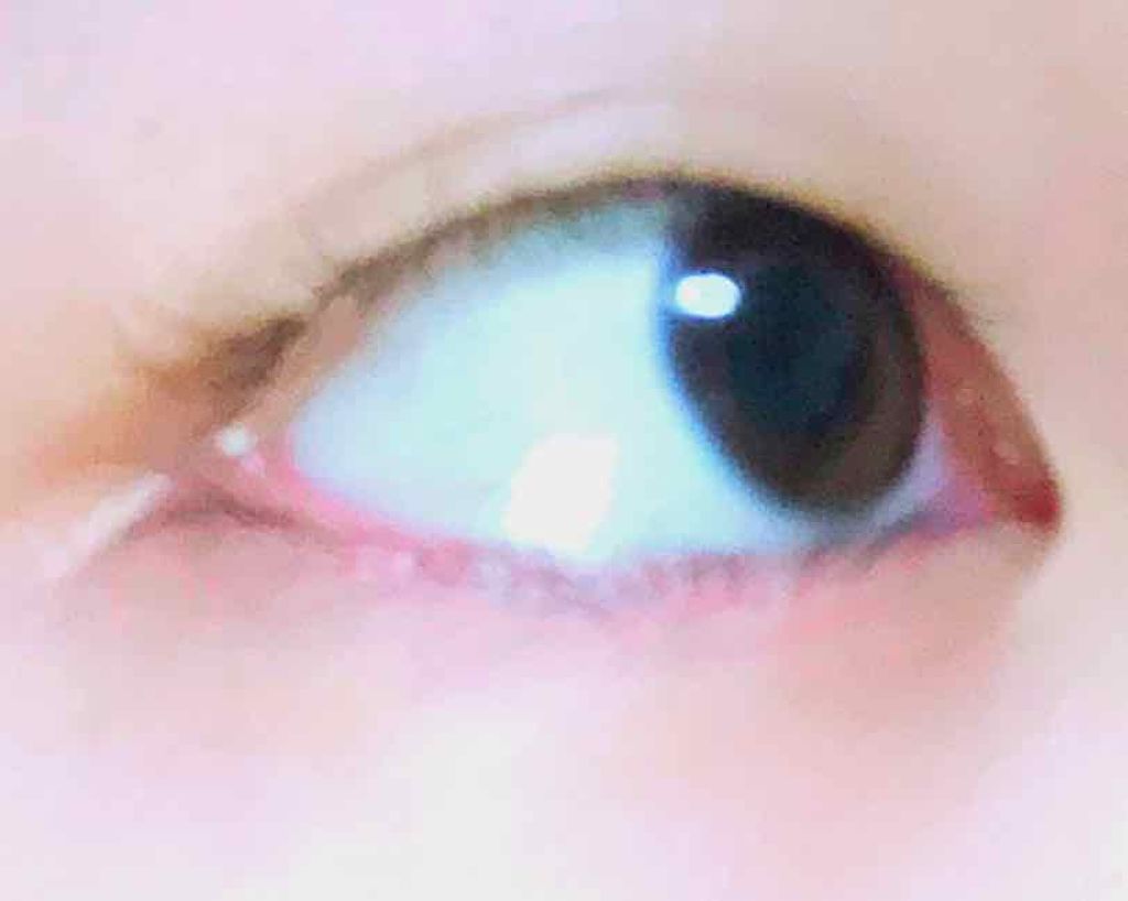 ローヤルゼリー配合 栄養ローション/DAISO/美容液を使ったクチコミ(2枚目)