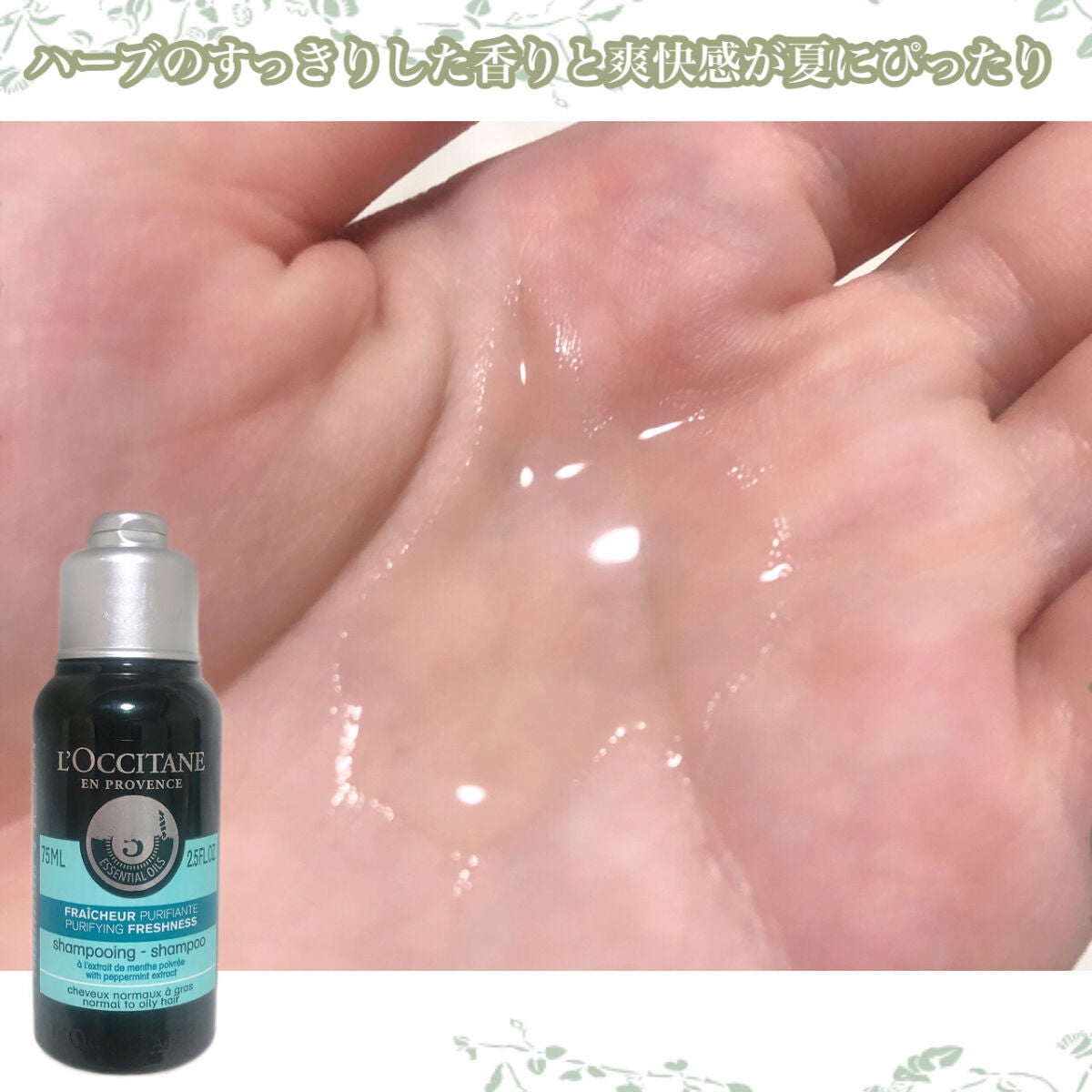 ファイブハーブス ピュアフレッシュネス シャンプー/コンディショナー/L'OCCITANE/市販シャンプーを使ったクチコミ(4枚目)