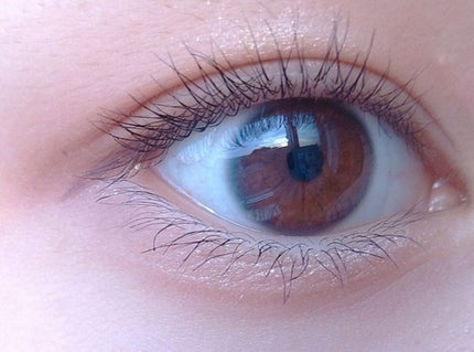 パーフェクトマルチアイズ/キャンメイク/アイシャドウパレットを使ったクチコミ(5枚目)