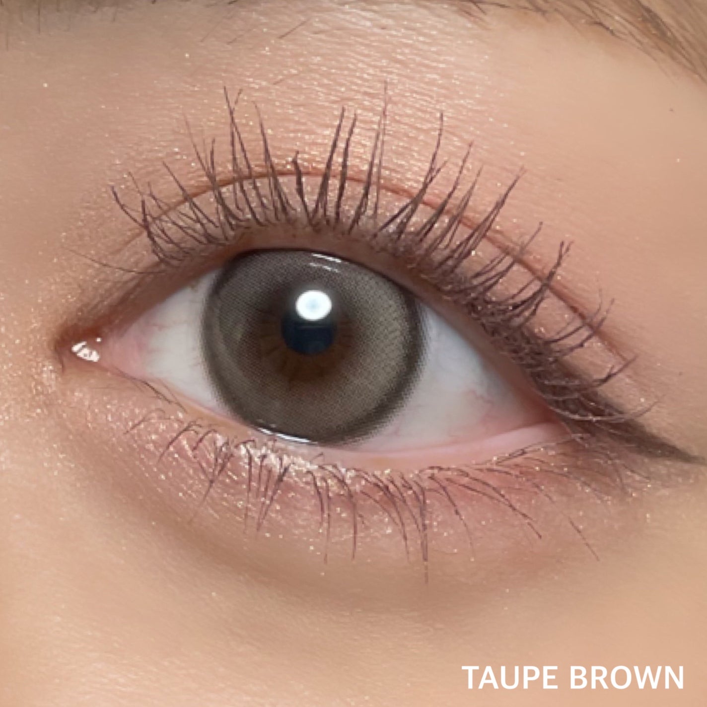 Hecate 1Day/Gemhour lens/カラーコンタクトレンズを使ったクチコミ(4枚目)