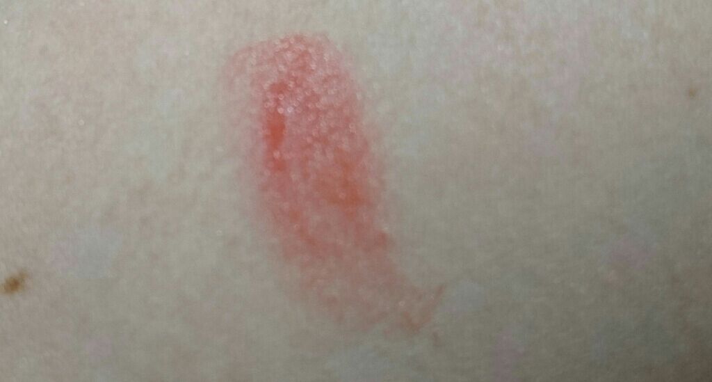 リップザカラー/リップザカラー/口紅を使ったクチコミ（2枚目）