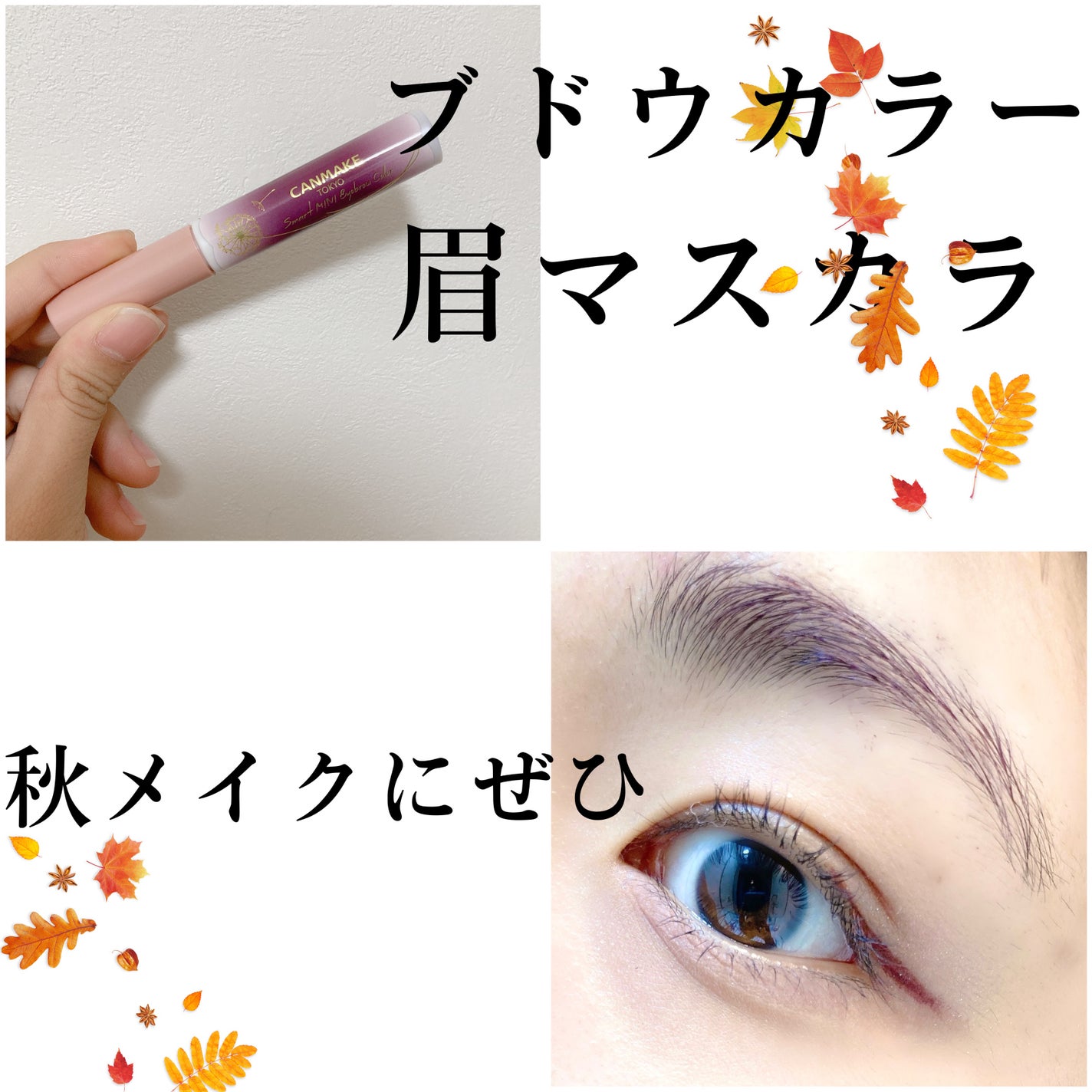 スマートミニアイブロウカラー/キャンメイク/眉マスカラを使ったクチコミ(1枚目)