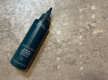 プラマサナ ピュリファイング スカルプ クレンザー/AVEDA/頭皮ケアを使ったクチコミ（1枚目）