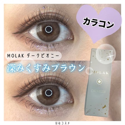 MOLAK 1day/MOLAK/ワンデー(1DAY)カラコンを使ったクチコミ(1枚目)