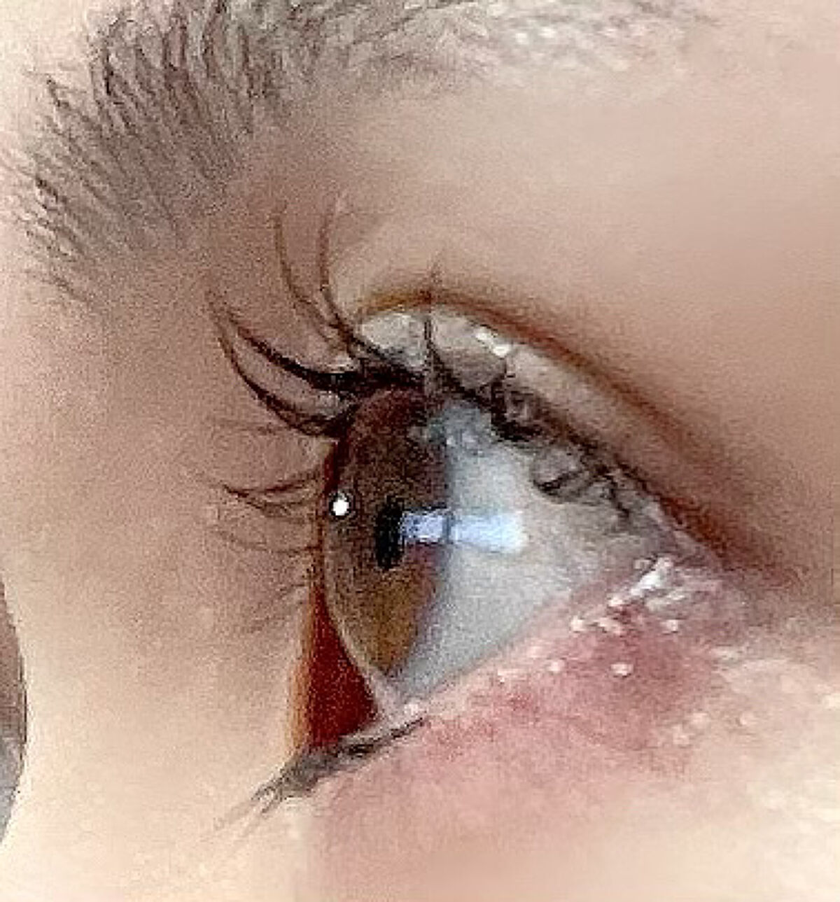 まつげ美容液EX/CEZANNE/まつげ美容液を使ったクチコミ（2枚目）