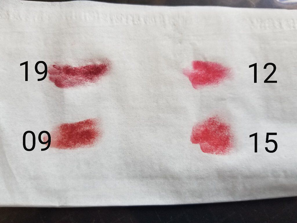 ステイオンバームルージュ/キャンメイク/口紅を使ったクチコミ（2枚目）