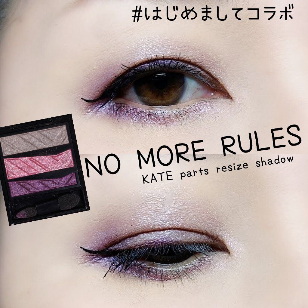 パーツリサイズシャドウ/KATE/アイシャドウパレットを使ったクチコミ(1枚目)