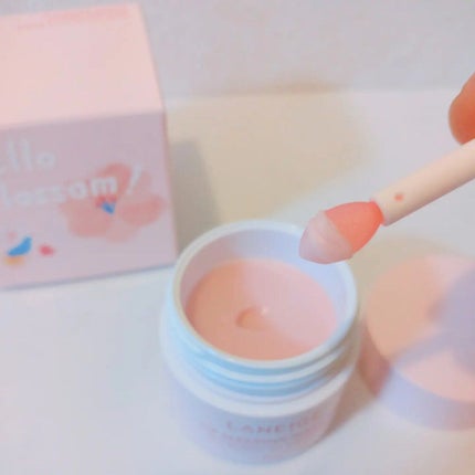 ウォータースリーピングパック/LANEIGE/フェイスクリームを使ったクチコミ(6枚目)