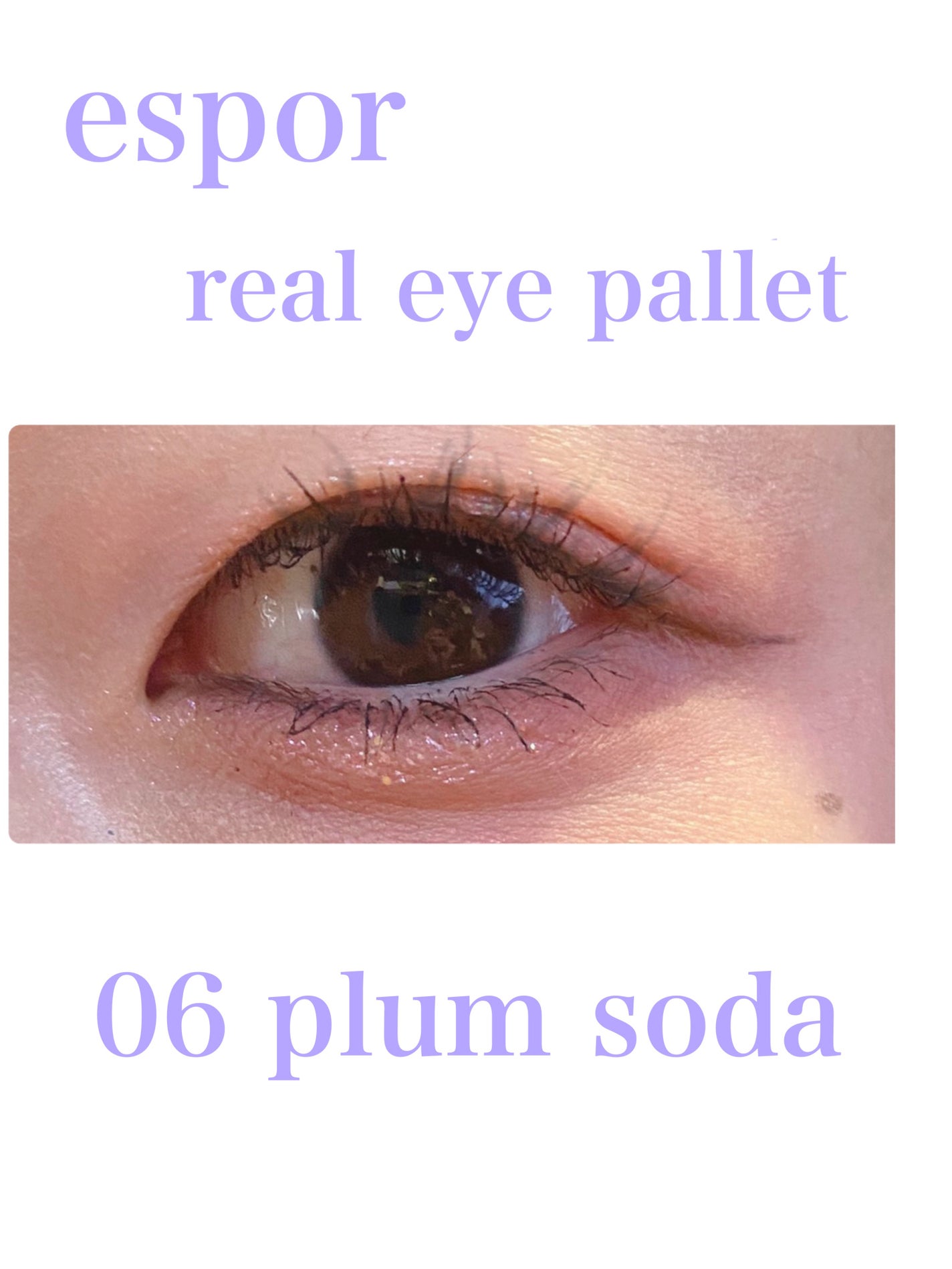 リアルアイパレット/espoir/マルチパレットを使ったクチコミ(1枚目)