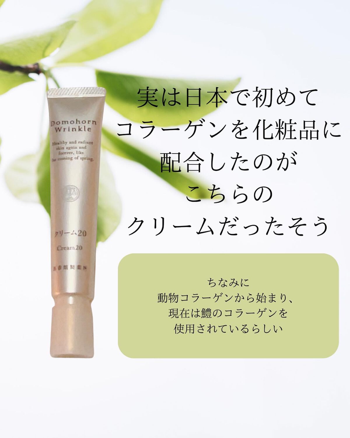 クリーム20/ドモホルンリンクル/フェイスクリームを使ったクチコミ（2枚目）